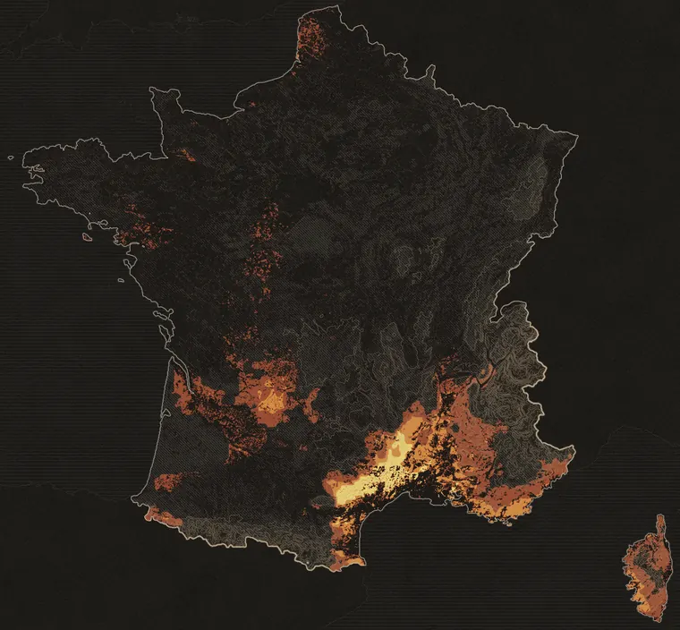 Carte de France métropolitaine des conditions de pousse pour les girolles, calcul du mercredi 14 octobre 2026. Les zones les plus claires comptent parmi les meilleurs jours de leur lieu.