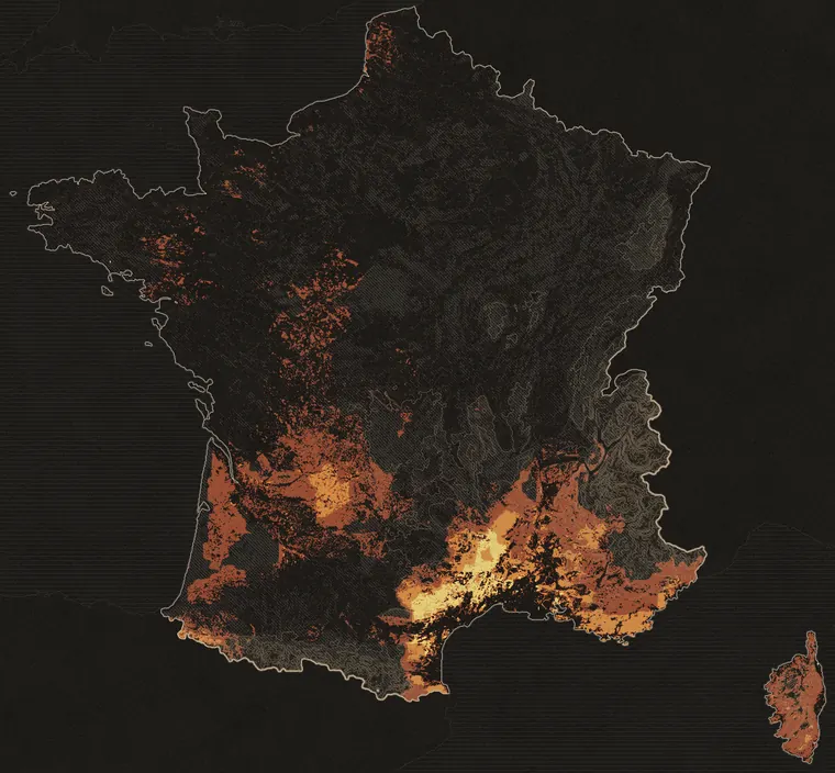 Carte de France métropolitaine des conditions de pousse pour les bolets bais, calcul du mercredi 14 octobre 2026. Les zones les plus claires comptent parmi les meilleurs jours de leur lieu.